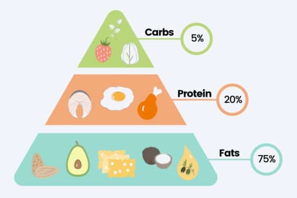 19 day keto diet plan for beginners to get into ketosis