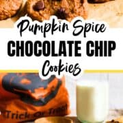 A classic keto pumpkin chocolate chip cookie recipe you're going to love!