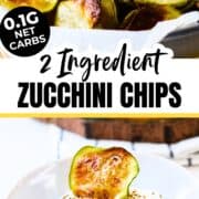 Low Carb Air Fryer Keto Zucchini Chips Recipe