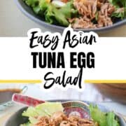 Easy Asian Tuna Egg Salad Recipe